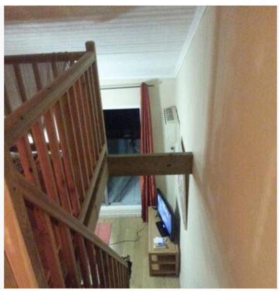 Les Aigrettes St Gilles Les Bains Apartment Saint-Paul Bagian luar foto